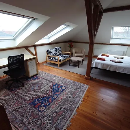 Haniel Sophie ドレスデン